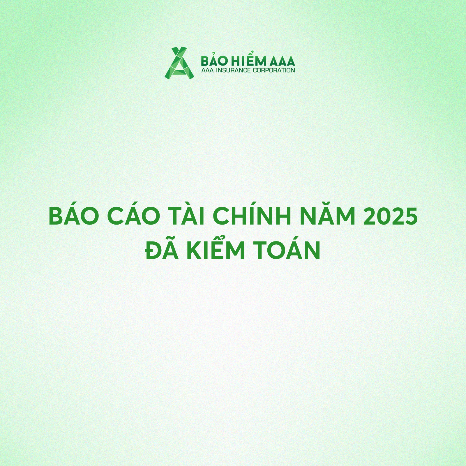 BÁO CÁO TÀI CHÍNH NĂM 2025 ĐÃ KIỂM TOÁN